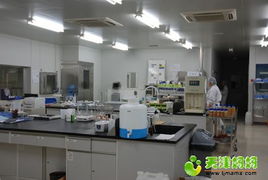 養(yǎng)樂多工廠體驗(yàn) 健康科普與親子休閑的完美融合