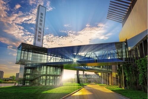 硬核工廠變身潮玩地 山東工業(yè)游解鎖跨界融合新風(fēng)景